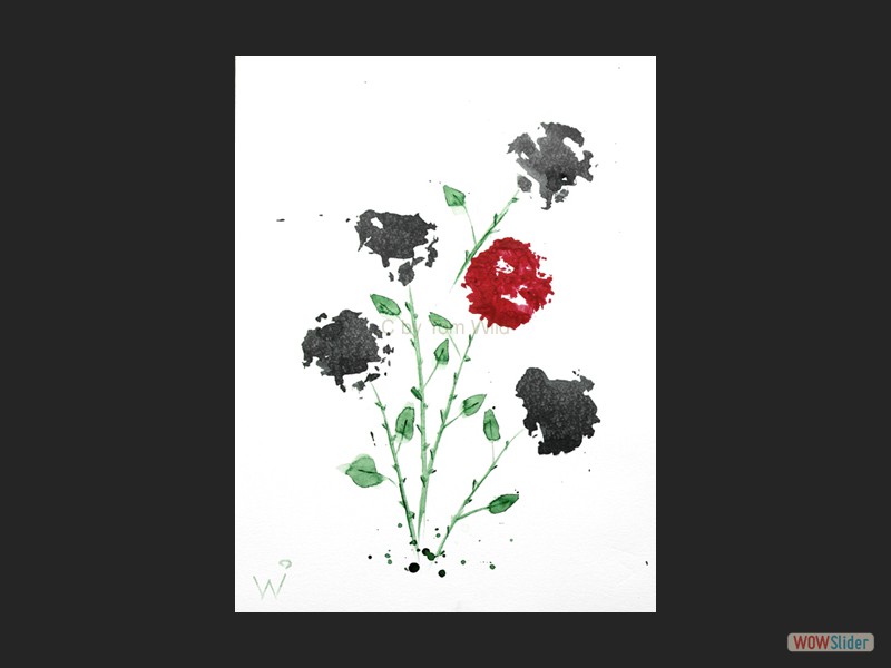 Echte Rosen / 30 x 40 cm - 200g/m²