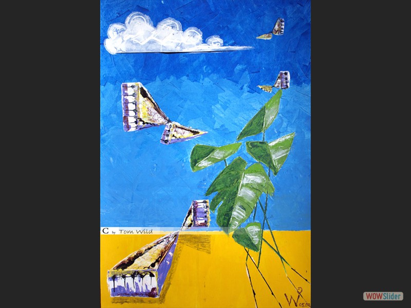 Trinkende Schmetterlinge